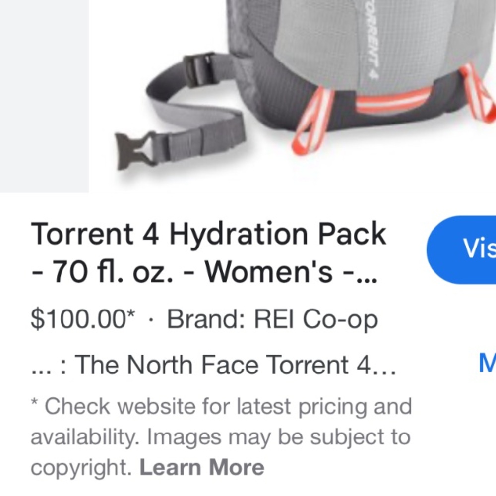 The North Face Gray and Teal Backpack - Picture 7 of 11